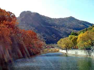 2025新澳门天天彩资料查询,探索澳门彩票文化，2025新澳门天天彩资料查询的魅力与挑战