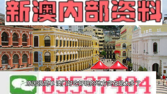 澳门最精准龙门客栈精选资料解析大全