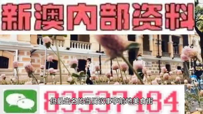 2024新澳免费资料大全精准版|精选资料解析大全